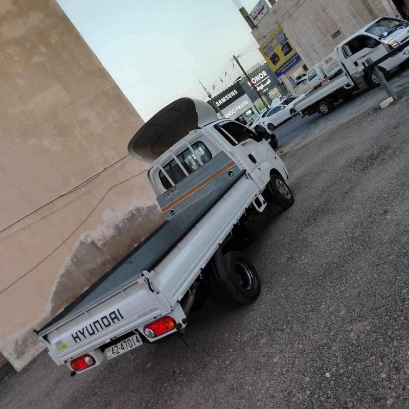 بكم بينجو 
