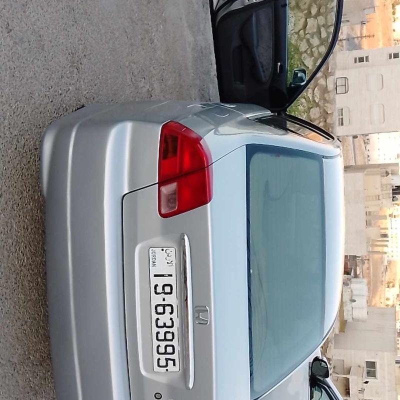 عمان ابو نصير 