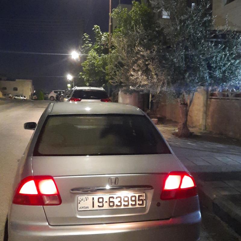 عمان ابو نصير 