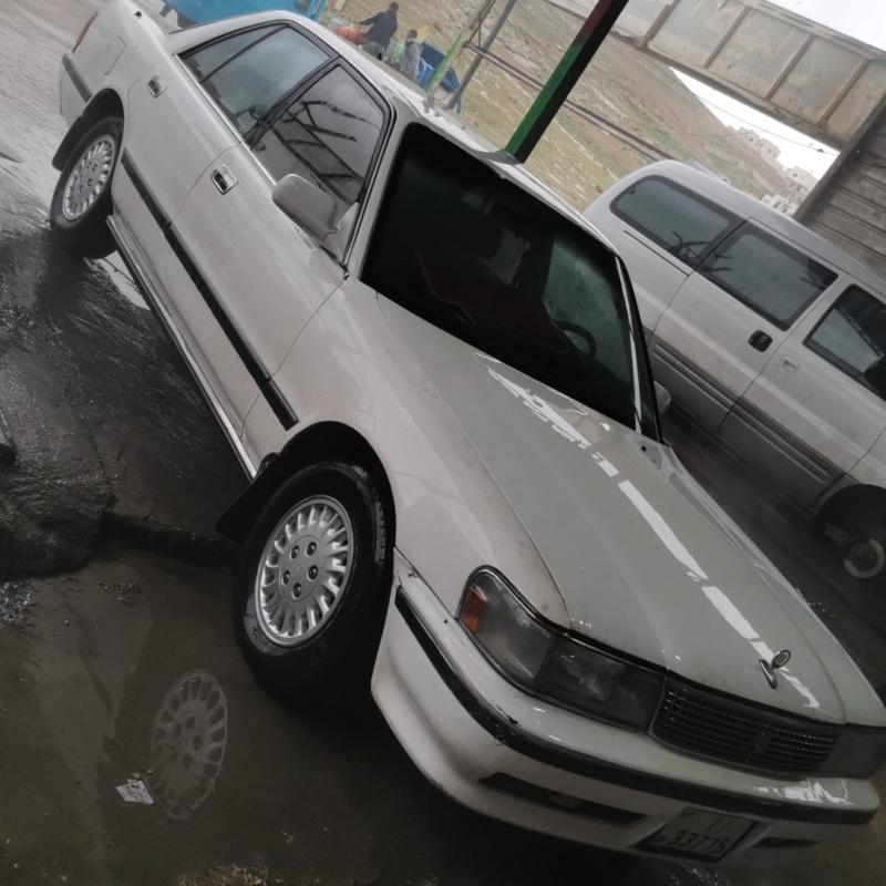 الزرقاء السخنه 