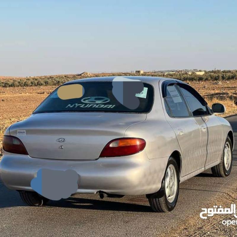 البلقاء السرو
