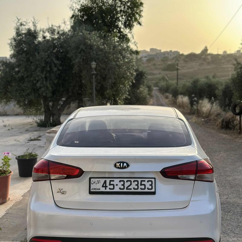 اربد شارع حكما