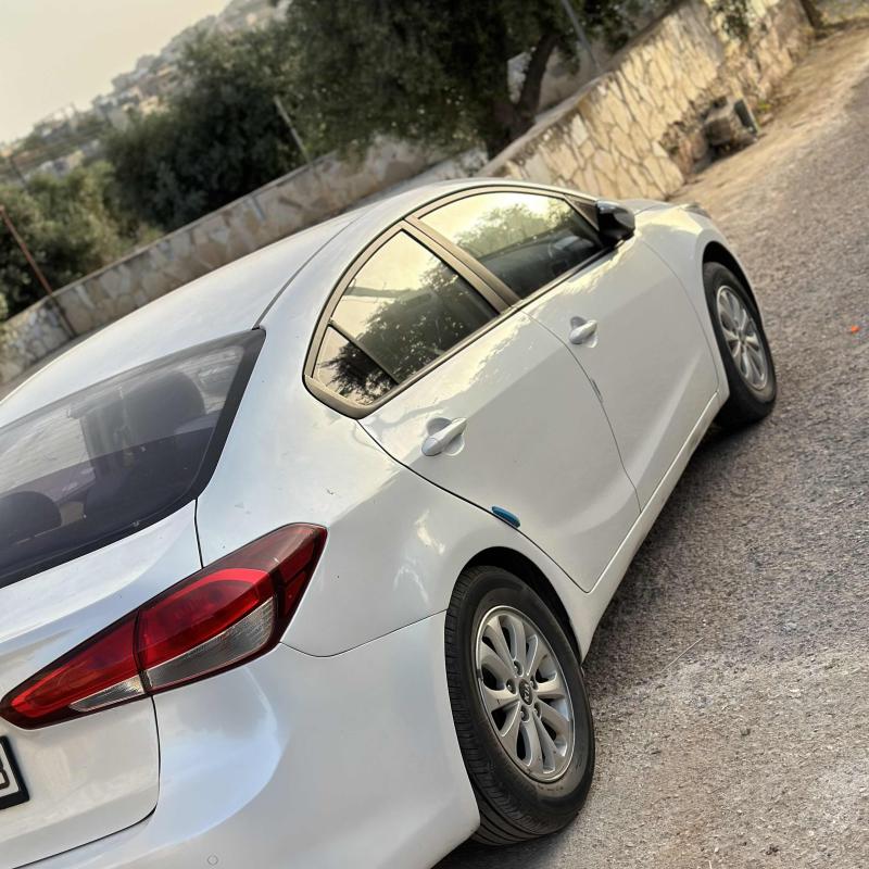 اربد شارع حكما