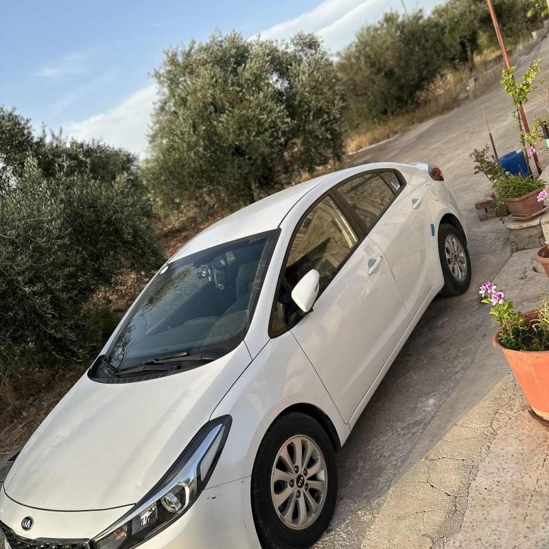 اربد شارع حكما