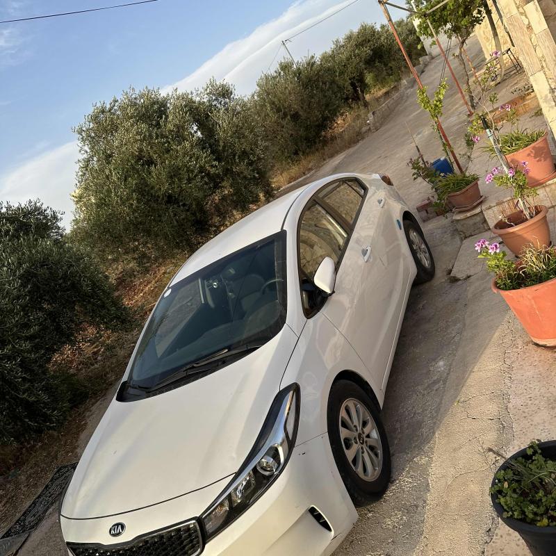 اربد شارع حكما