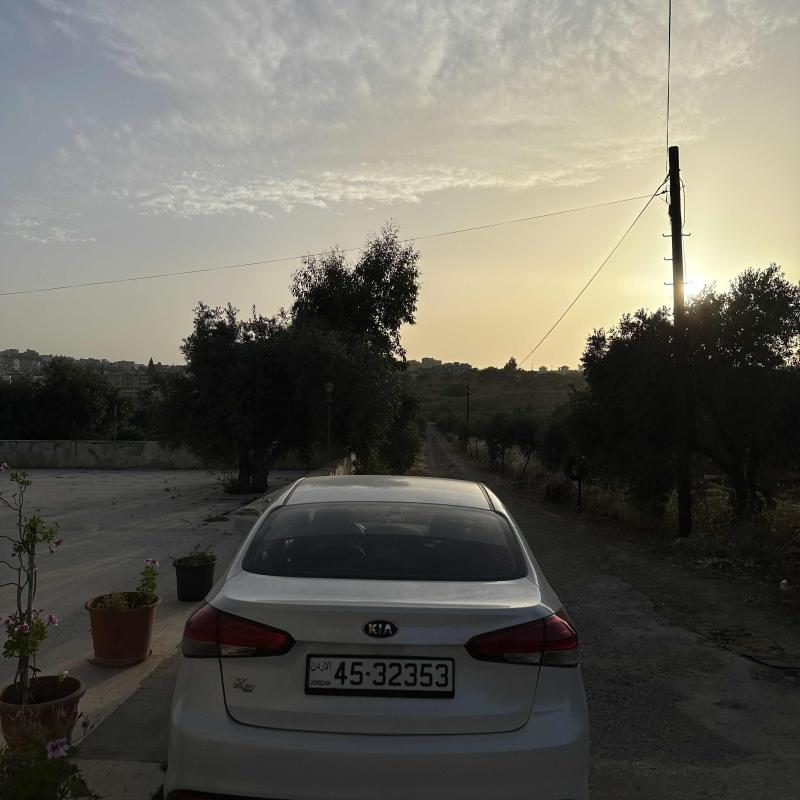 اربد شارع حكما