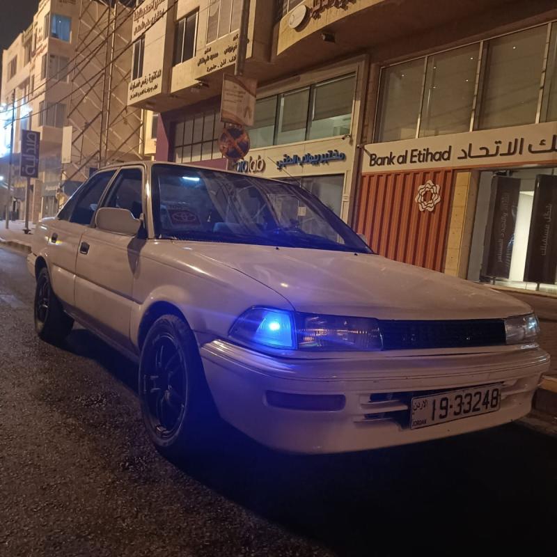 اربد
