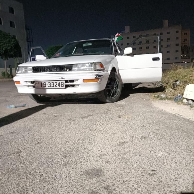 اربد