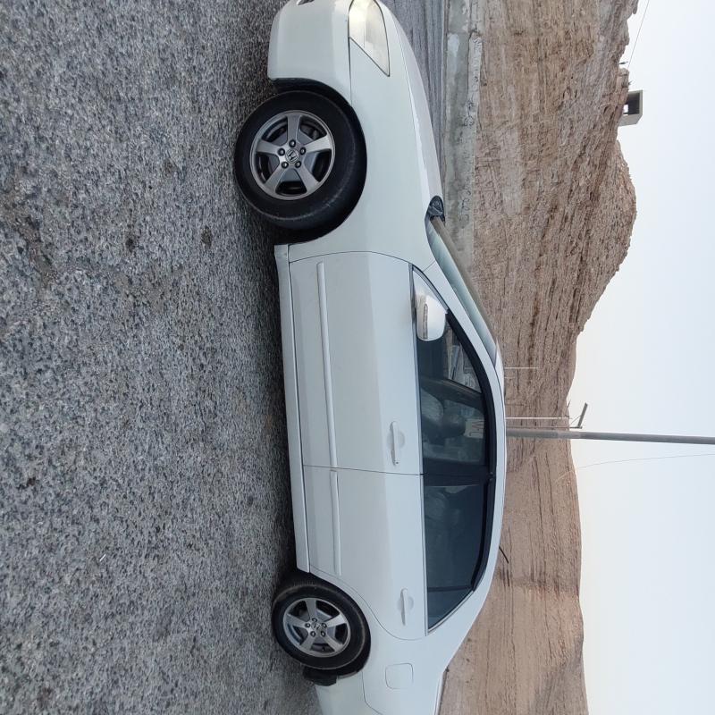 مادبا 