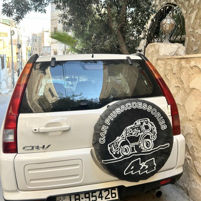 الزرقاء