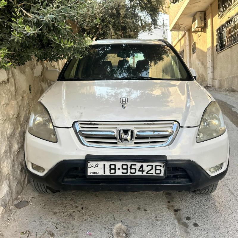 الزرقاء 