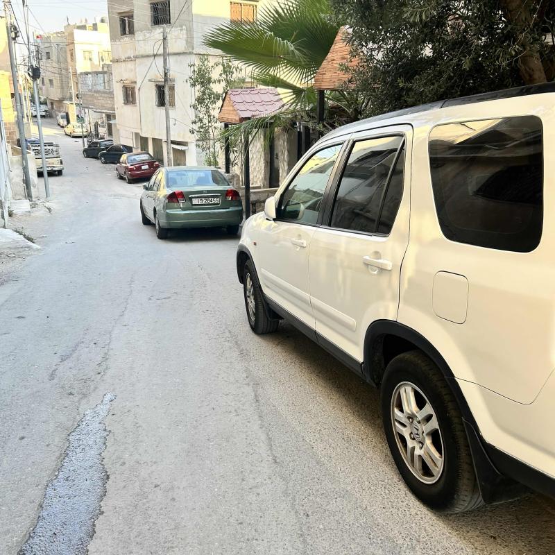 الزرقاء