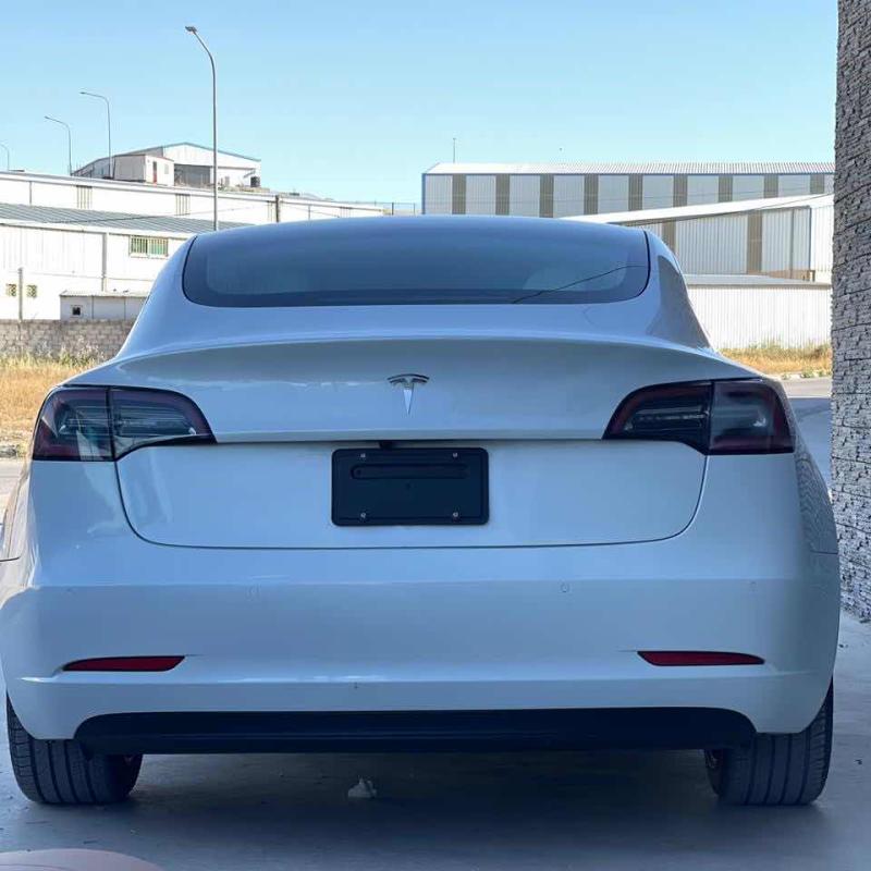 Tesla model 3 sp 2020