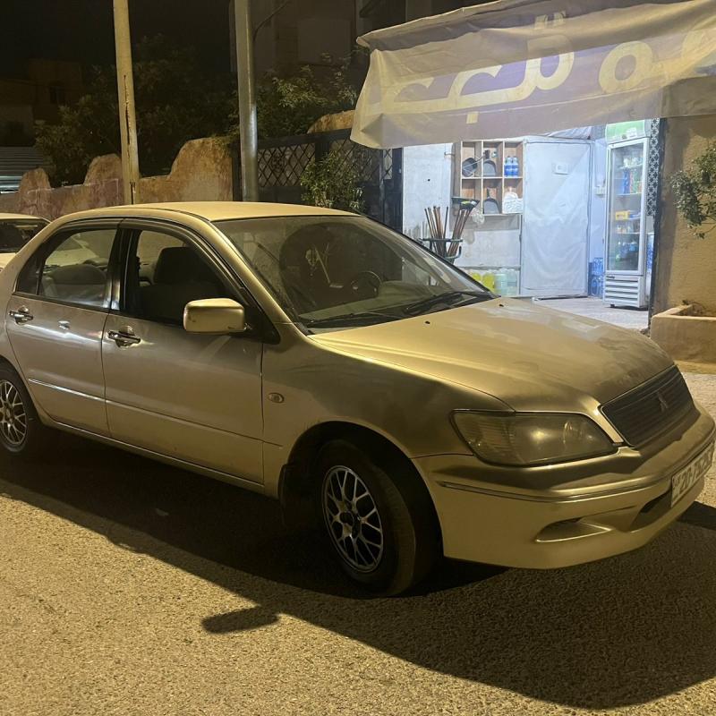 السلط عين الباشا 