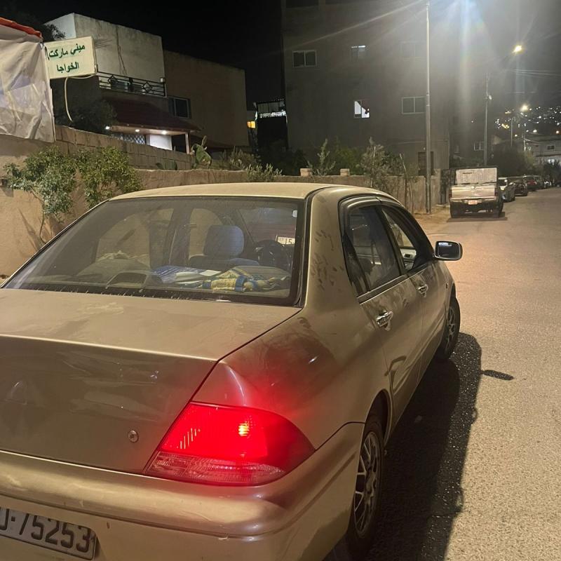 السلط عين الباشا 