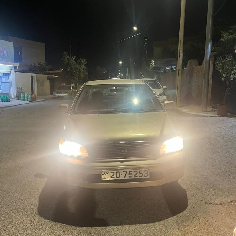 السلط عين الباشا 