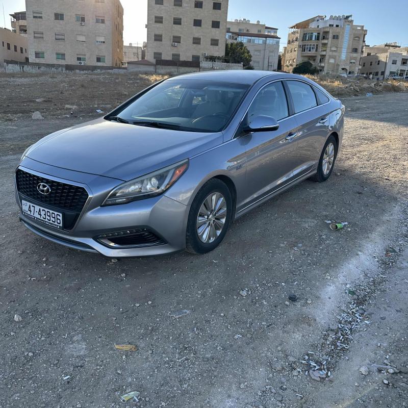 عمان شفا بدران