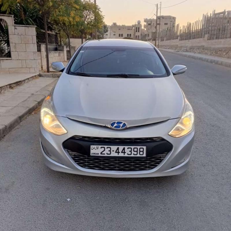 اربد  ش فلسطين 