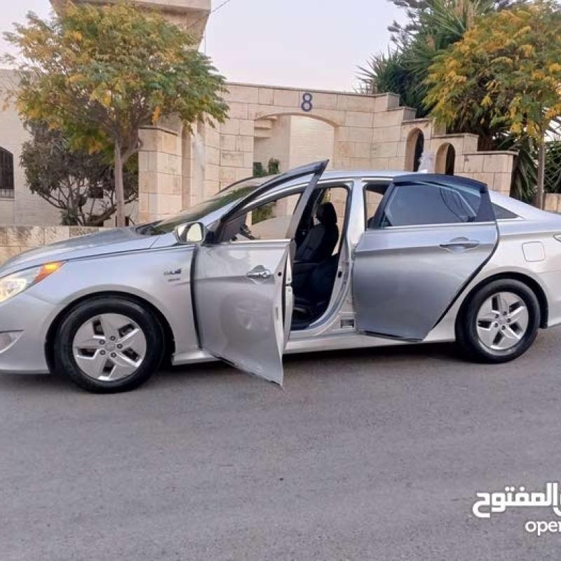 اربد  ش فلسطين 