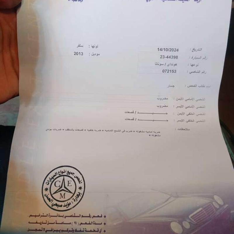 اربد  ش فلسطين 