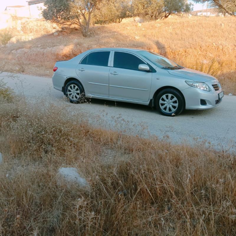 الزرقاء بيرين تحت شفا بدران 