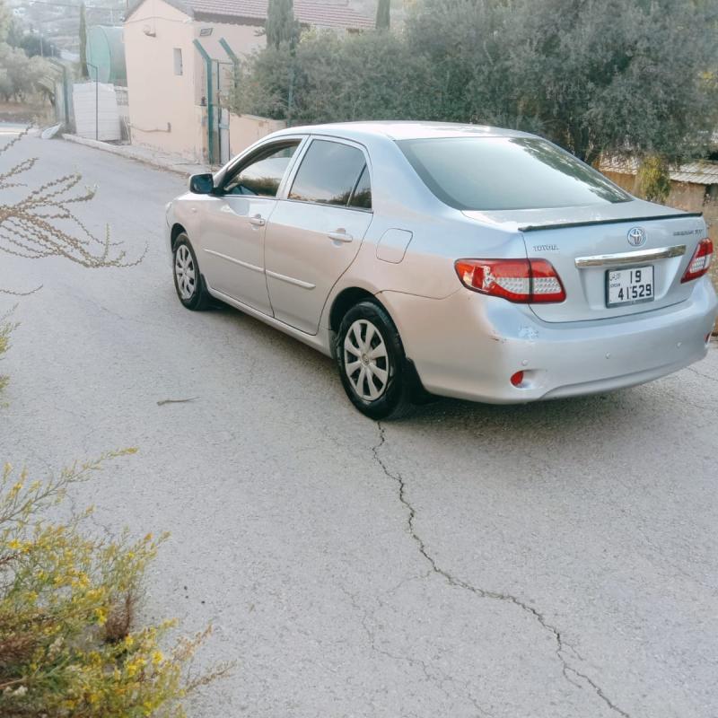 الزرقاء بيرين تحت شفا بدران 