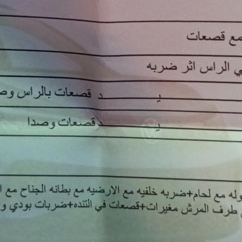 شفر بولت بريمير أعلى صنف 
