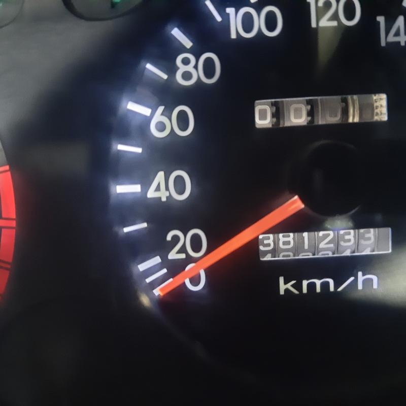 اربد