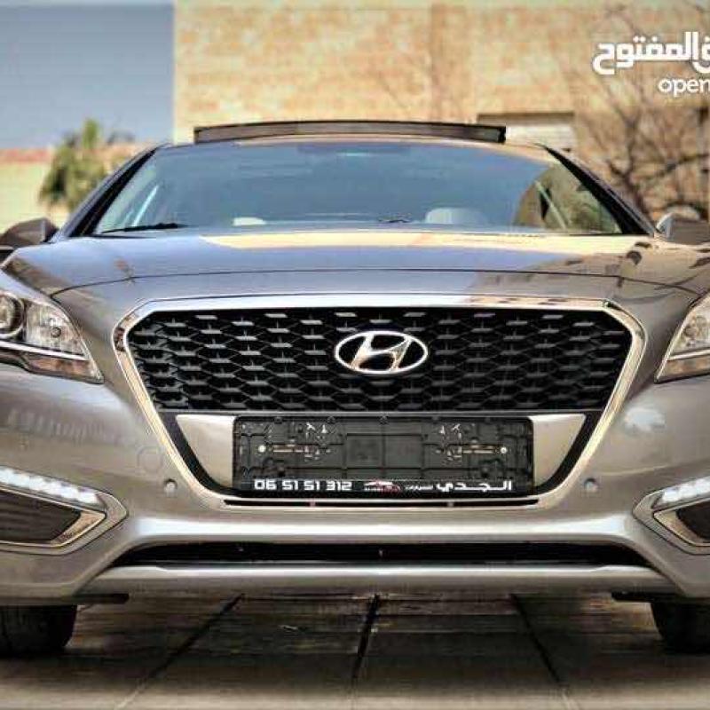 سوناتا ٢٠١٦ ليميتد وارد الشركة