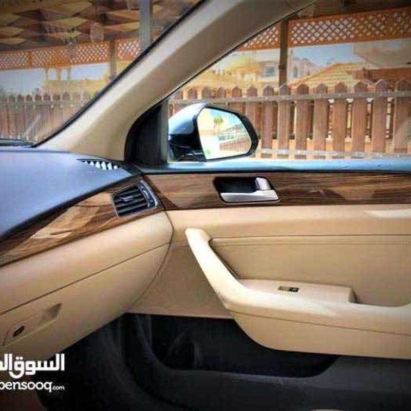 سوناتا ٢٠١٦ ليميتد وارد الشركة