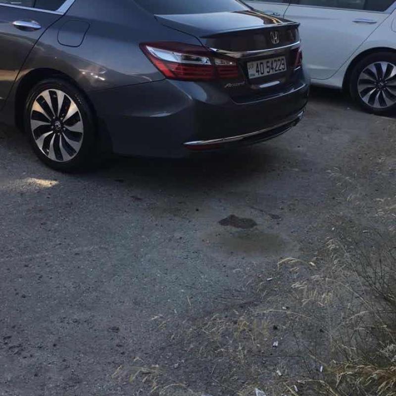 ضاحية الرشيد
