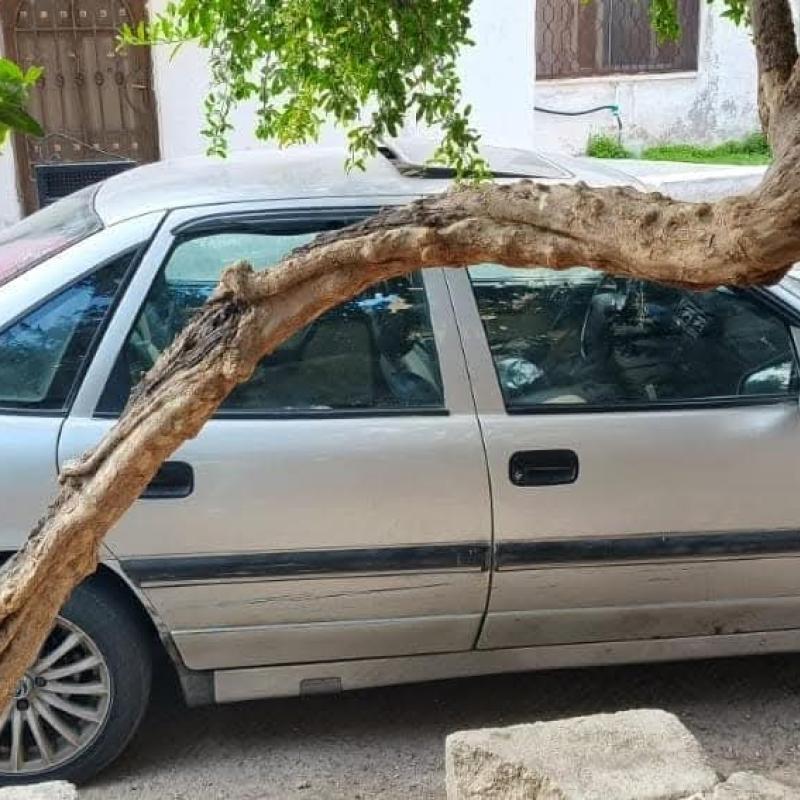اربد 