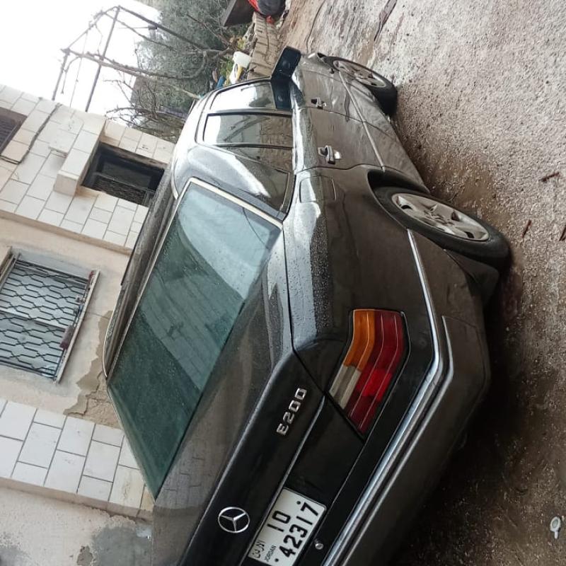 اربد