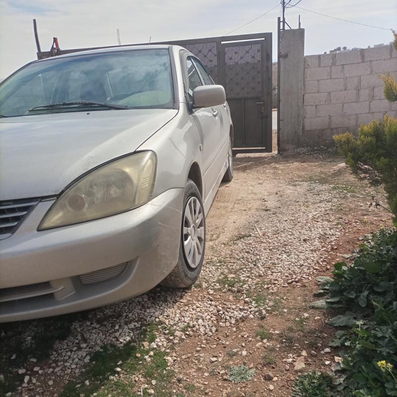 الزرقاء الهاشمية 