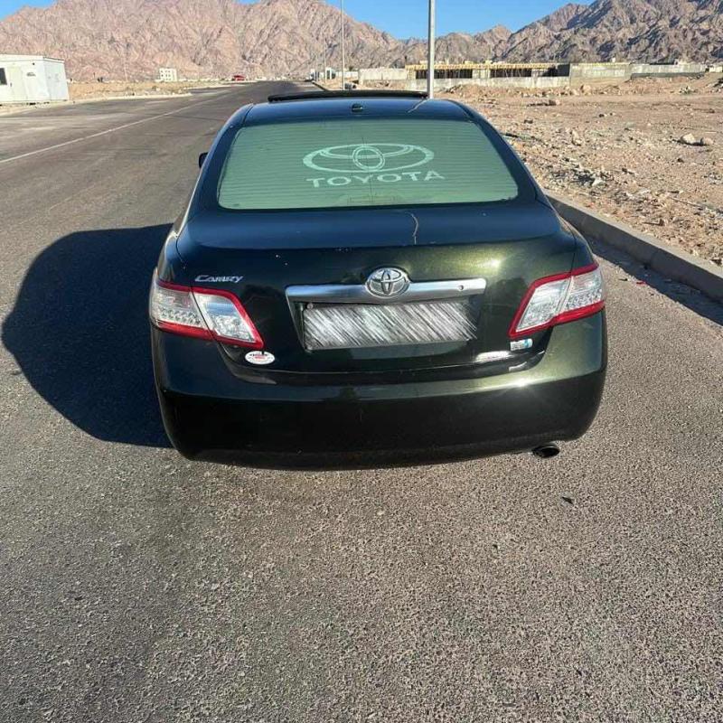 العقبه