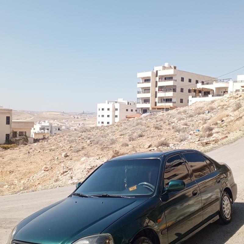 ضاحيه المدينة المنورة 