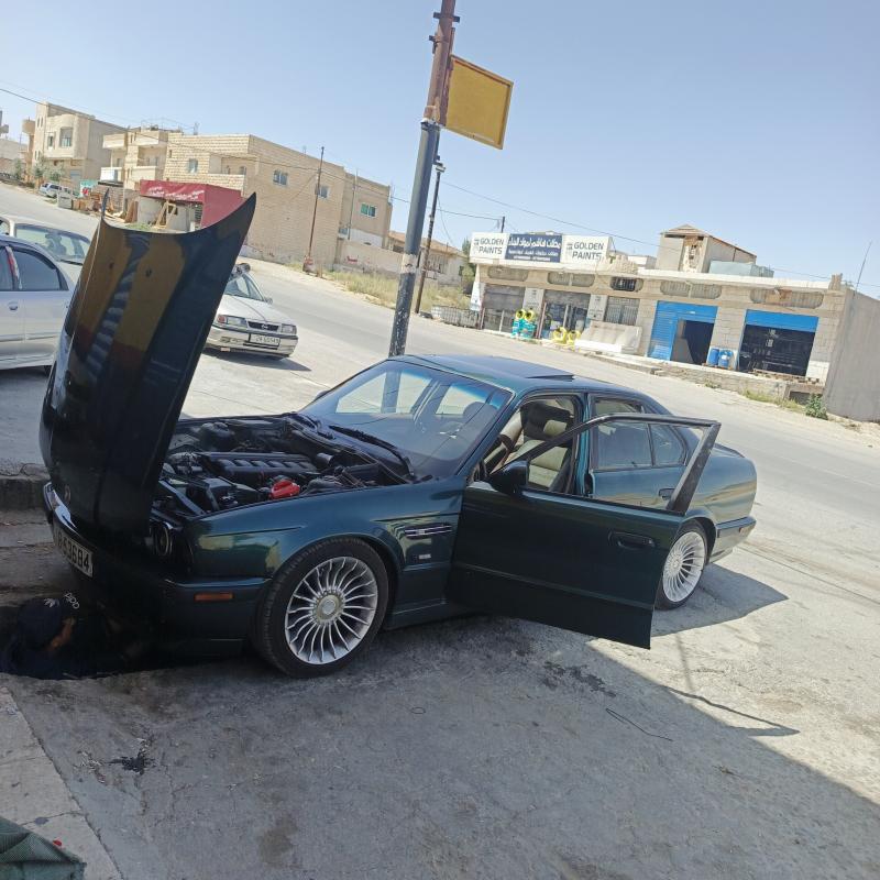 الطفيلة 