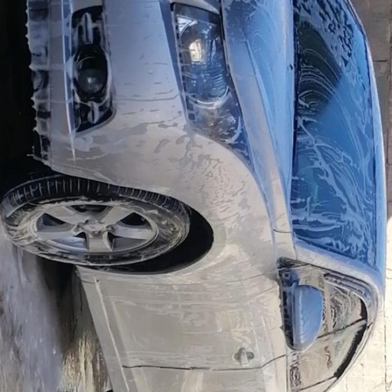 اربد الحصن