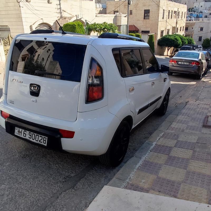 عمان ابو نصير