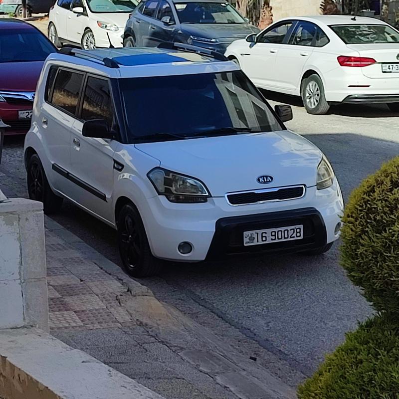 عمان ابو نصير