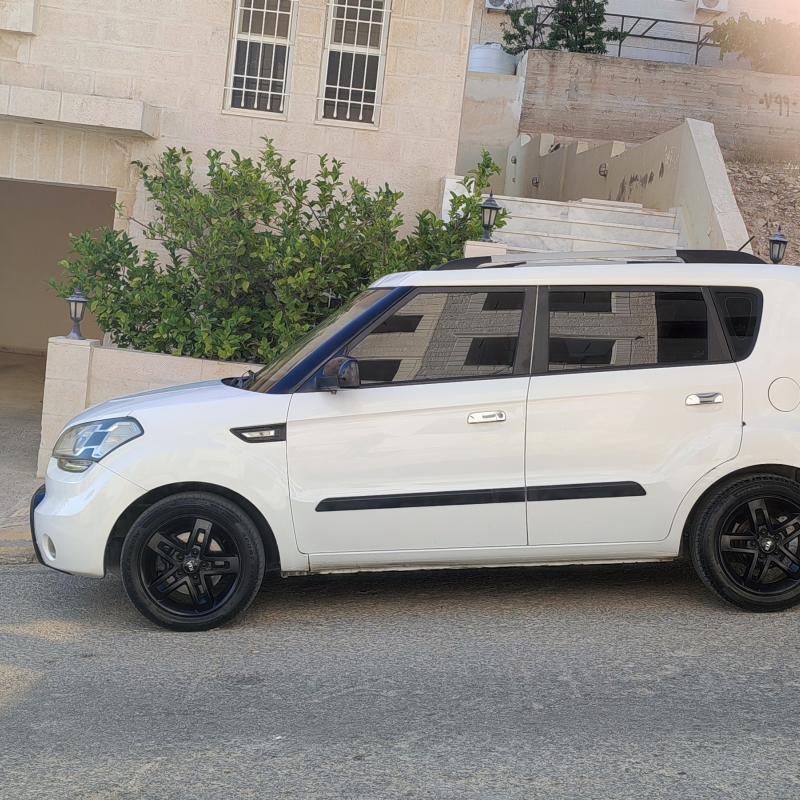 عمان ابو نصير