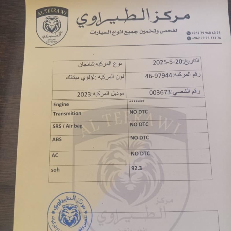 الشونة الجنوبية 