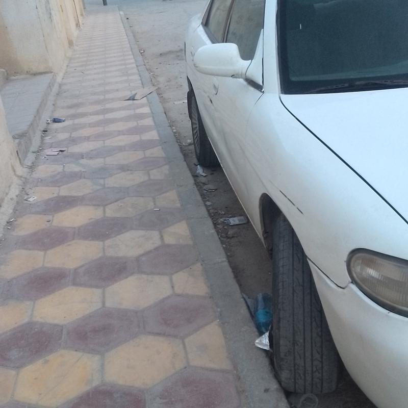 ديو النوبرا