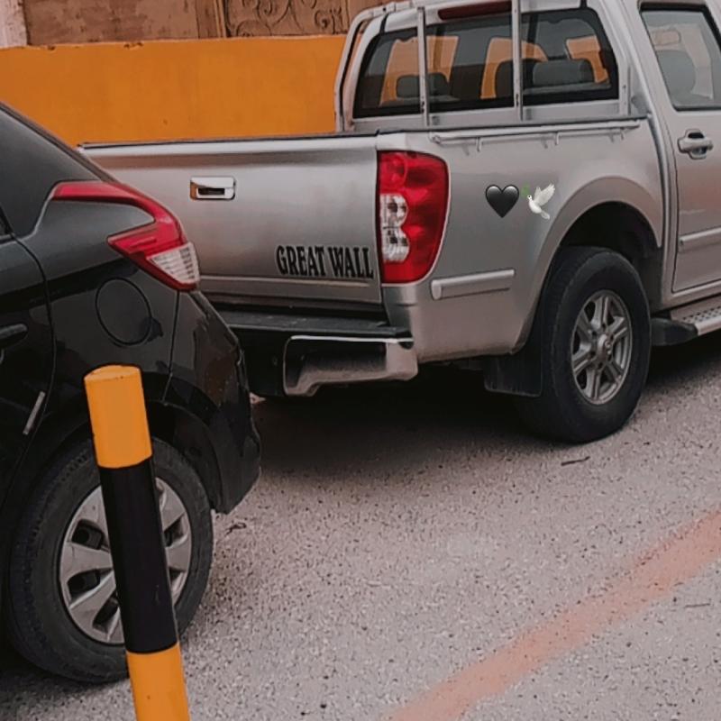 بكب جربت وول دبل كبين فحص كامل للبيع 