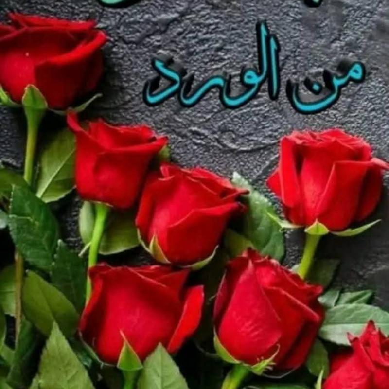 فورد اكسبلورر للبيع كاش أو اقساط 