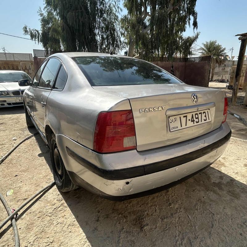 الشونه الجنوبيه /سويمه