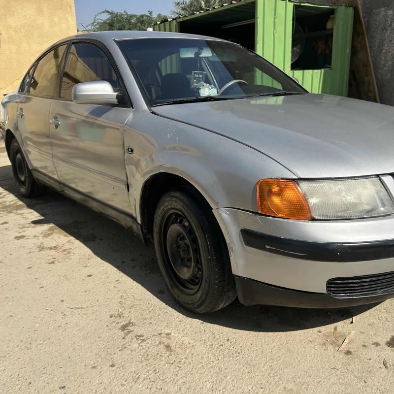 الشونه الجنوبيه /سويمه