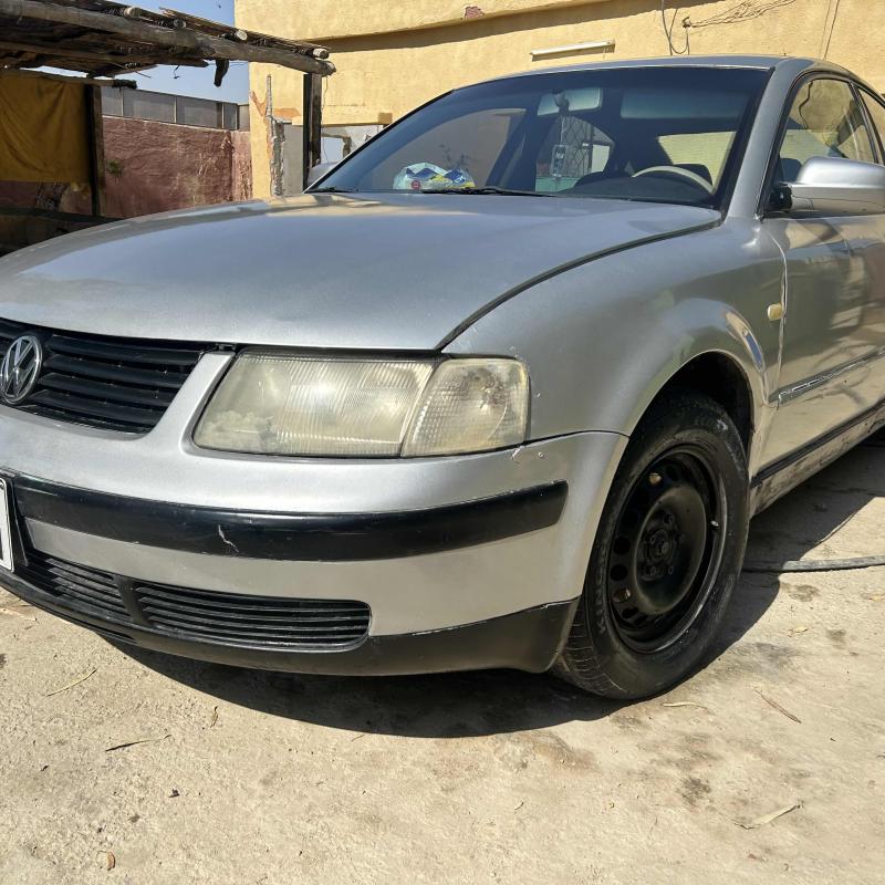 الشونه الجنوبيه /سويمه