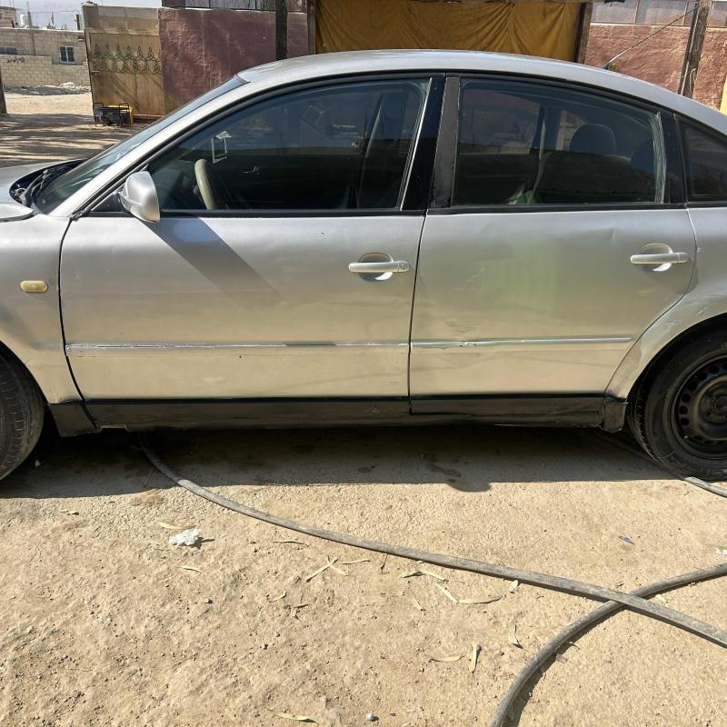 الشونه الجنوبيه /سويمه