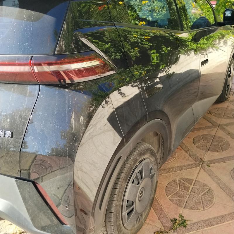 بي واي دي بحالة الوكاله